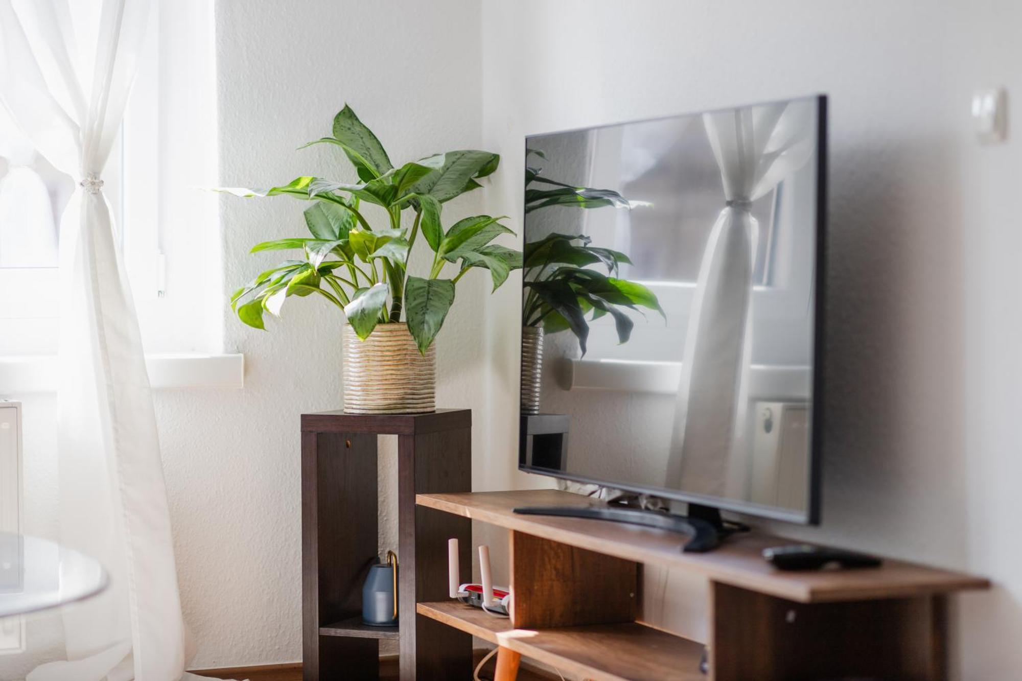 Ferienwohnung Anton Дессау Экстерьер фото